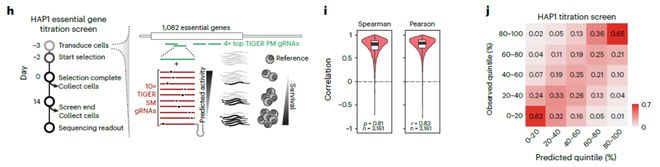 Nature子刊：用AI預(yù)測CRISPR基因編輯活性實現(xiàn)對基因表達水平的精準調(diào)控(圖3)
